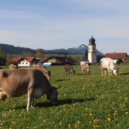 Fewo Herp Oy-Mittelberg Exterior foto